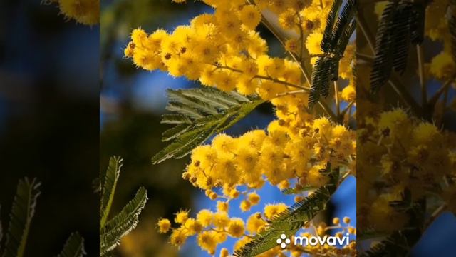 Спасибо.. Ирина Самарина-Лабиринт смотреть онлайн