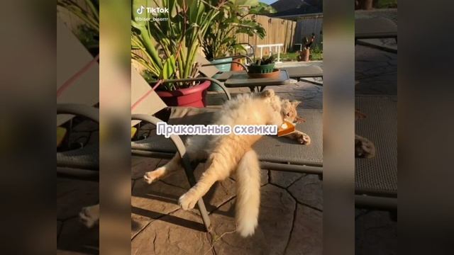 Долгожданный сборник бисерных видео из ТТ каналов? #бисер #handmade #тренды #подборки #тт #tiktok смотреть онлайн