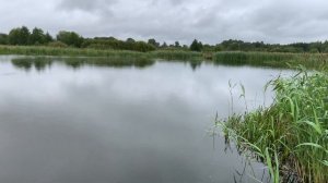 Рыбалка 18 августа Брянская Область видео 4К
