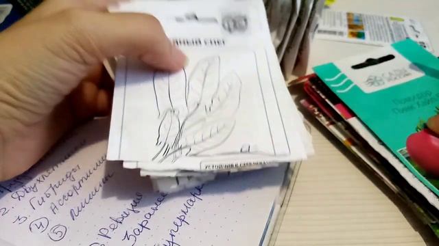 Покупаю семена и экономлю! смотреть онлайн