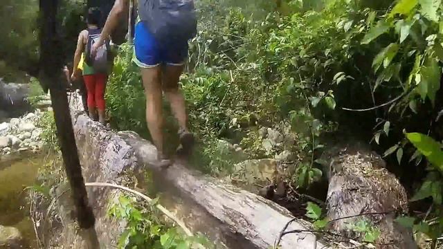 Parque Nacional Sierra de Perija - Edo Zulia, Venezuela смотреть онлайн