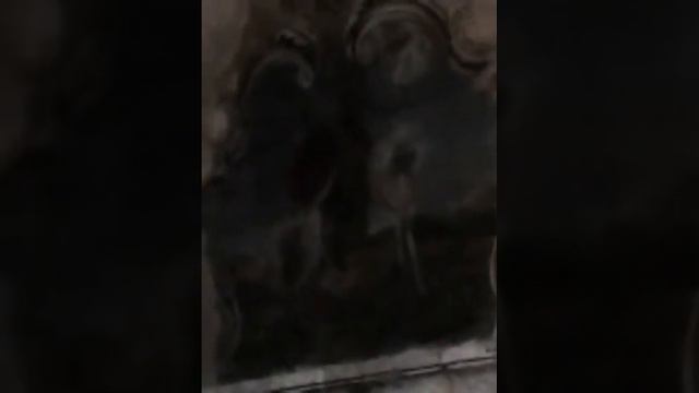 Со святых спрос вдвойне.Стихи.Эстэр. смотреть онлайн
