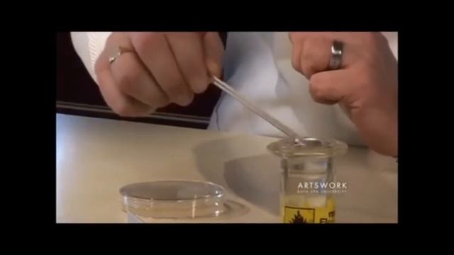 Isolation and Screening of Bacillus Subtilis from Soil for Protease Production смотреть онлайн