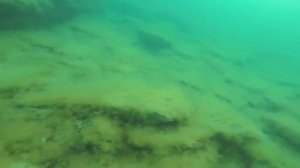 Дайвинг в Актау.