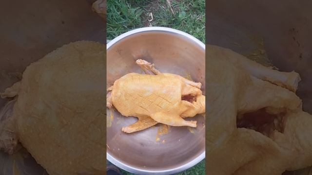 ТехноДомовые Трюки