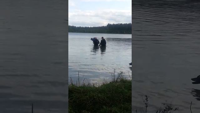 Первое погружение. ч 2 смотреть онлайн