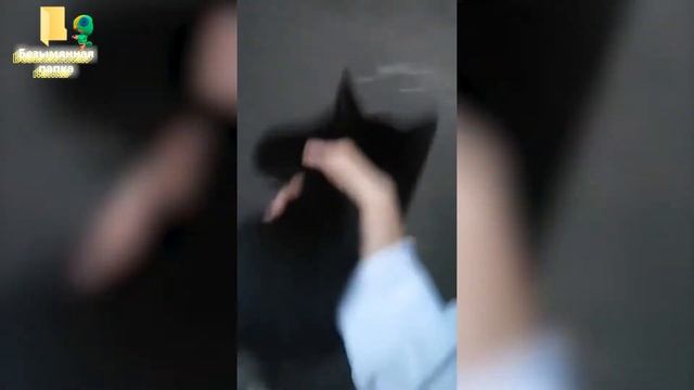 тик ток стал квадратом || тик ток нарезка ... смотреть онлайн