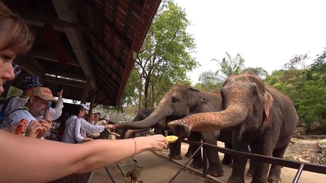 Отпуск в Тайланде - отель Ambassador City. Коронавирус смотреть онлайн