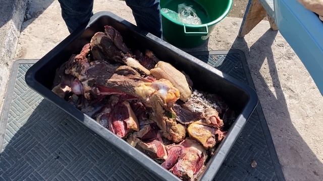 ЕТ СҮРЛЕУ. КӨКШЕТАУ.