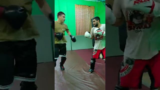 Мастер спорта по боксу против мастера спорта по кикбоксингу. Спарринг по кикбоксингу. #shorts смотреть онлайн