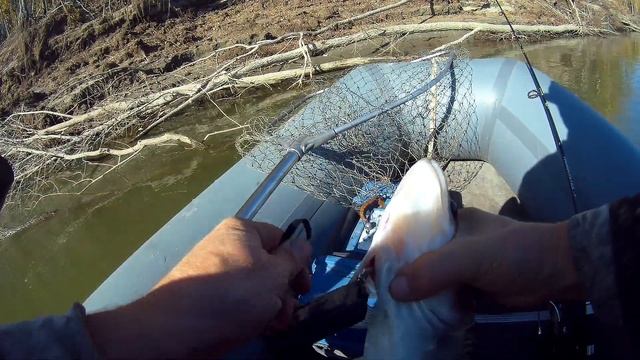 Окуневый день! Рыбалка на Оби в октябре. смотреть онлайн