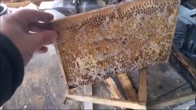 Разновидности рамок для Альпийского улья. смотреть онлайн