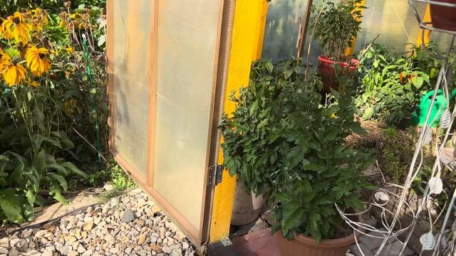 Осень на даче . Прогулка по саду смотреть онлайн