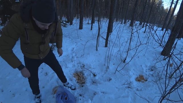 ПОМОЩЬ ЖИВОТНЫМ ЗИМОЙ! ФАРШИРОВАННЫЙ БАТОН! смотреть онлайн