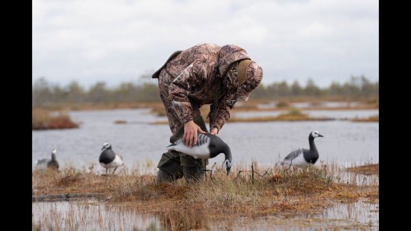 Охота на гуся в Карелии с Duck Mania. Автор фильма Денис Кузнецов