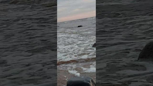 морской берег пляж. обзор. вечер море солнце смотреть онлайн