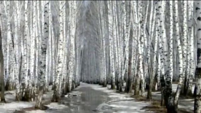 Шарль Бодлер - Что скажешь ты, душа, одна в ночи безбрежной смотреть онлайн