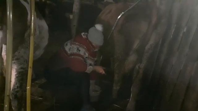 Антибрык работает. смотреть онлайн
