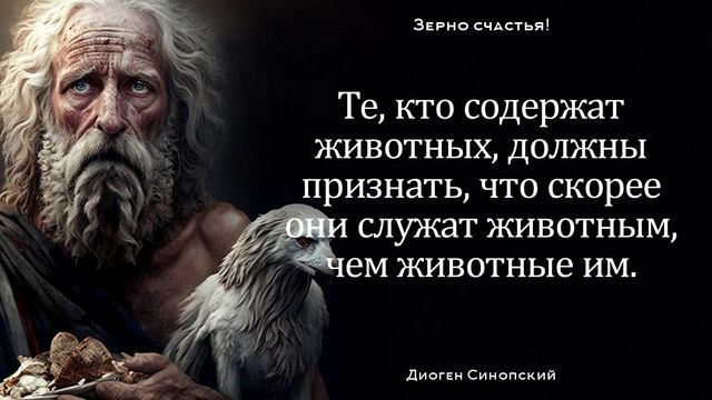 Его слова заставляют задуматься! Мудрые цитаты Диогена Синопского смотреть онлайн