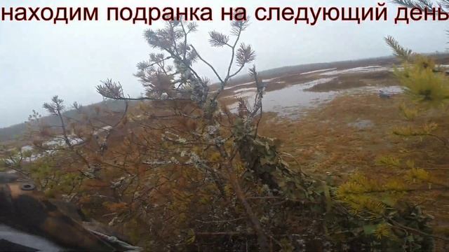 ОХОТА НА ГУСЯ 2018 2 в Кировской области. смотреть онлайн