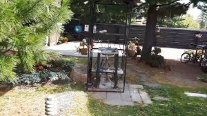 Что растет в томатной теплице 23 сентября.