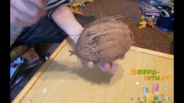 Кокос+.AVI смотреть онлайн