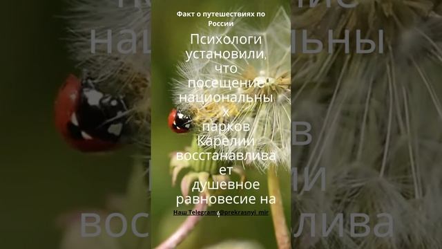 Путешествия по России смотреть онлайн