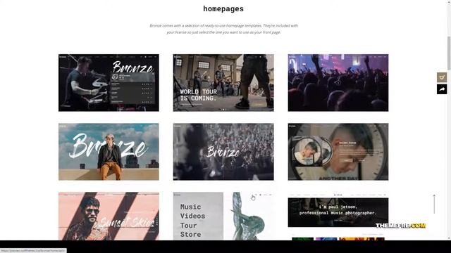 Bronze - A Professional Music WordPress Theme wpbakery page builder playlist Easy Create Website смотреть онлайн