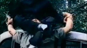 Мастер Востока (боевые искусства, боевик)