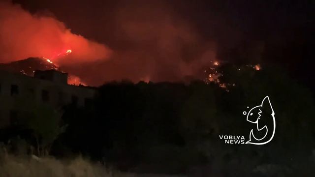 Спасение животных в Геленджике. Rescuing Animals in Gelendzhik смотреть онлайн