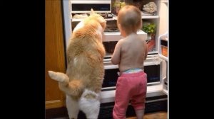 Выйду ночью в кухню с котом