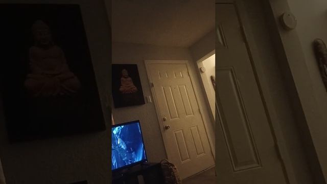 DEAR NEW TRUCK DRIVER A PEP TALK WITH THE ORACLE AND HER FAUX PET RABBIT RANGE ROVER смотреть онлайн