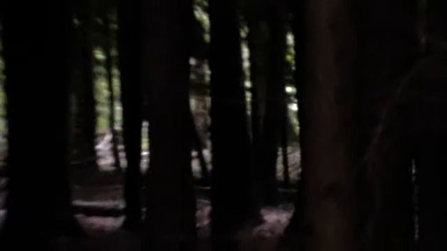 Panasonic SDR-S50 woods zoom смотреть онлайн