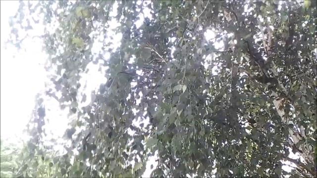 Таня Музыка Остапович (Тетяна love) смотреть онлайн
