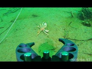 Новик съемки подводным дроном  Fifish v6  часть 1
