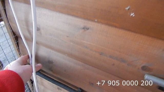 Хозяюшка. Не много про кур.