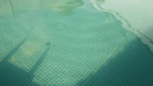 Manns Predator 5,0” 12,70 см 4,5” 11,43 см 4,0” 10,16 см 3 5” 8,89 см 3,0” 7,62 см смотреть онлайн