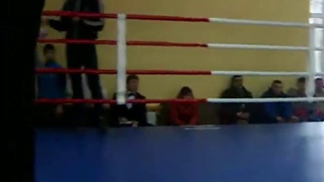 Чемпионат области по боксу 2014 год.