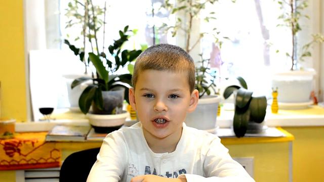 Что такое мёд, пчёлы и пчелиная обножка? смотреть онлайн