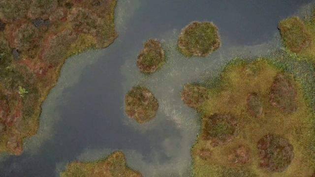 Болото Ельня Поход 2020. Аэросъемка смотреть онлайн