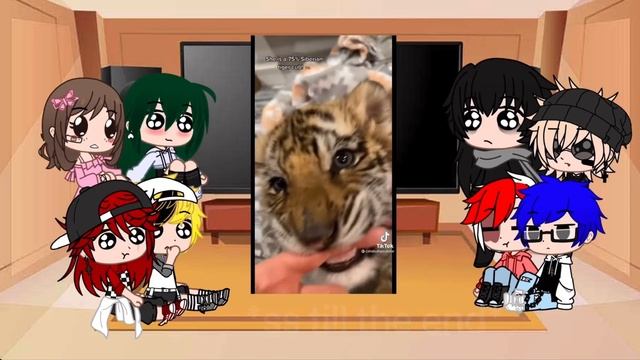 mha reacts to dekus pets||short/gacha club смотреть онлайн