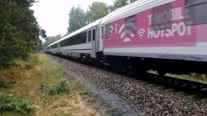 Виды транспорта для детей Развивающее видео про машины и технику со звуками