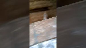 Ремонт и тюнинг лодки «Воронеж» Изготовление форштевня