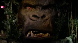 Madam Tus... New York 2020