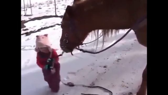 ЗИМА КРАСАВИЦА смотреть онлайн