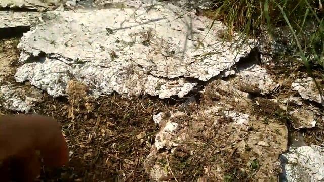 Лайфхаки на летнюю рыбалку,как быстро накопать червей,как сделать донку уловистей смотреть онлайн