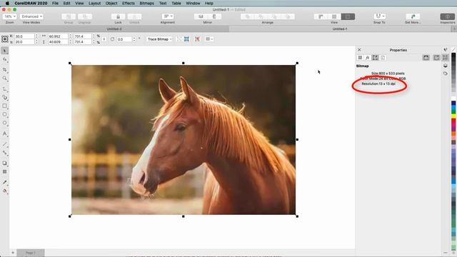 Improve the Size and Quality of your Images | CorelDRAW for Mac смотреть онлайн