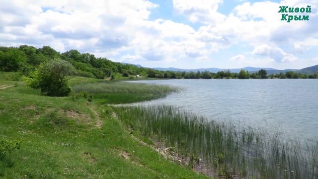 Байдарская долина, древние менгиры и местные жители смотреть онлайн