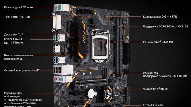 Материнская плата Asus TUF B360M-E GAMING смотреть онлайн