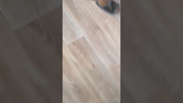 ребята! видео проверка! я нажму на " взрослым" и скажите пожалуйста эх есть коммы или нет? смотреть онлайн